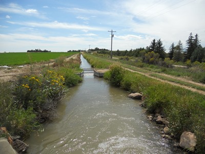 NPIC ditch in summer